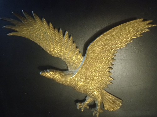 Großer wandadler adler aus - wandadler,,