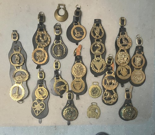 Horse brass england - horse,